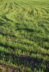 Similar image 882672