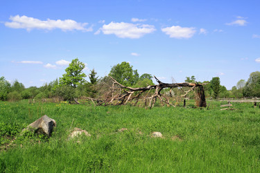 Similar image 882680