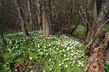 Similar image 882700