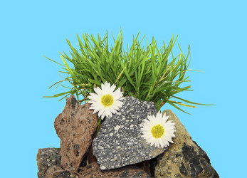 Similar image 882732