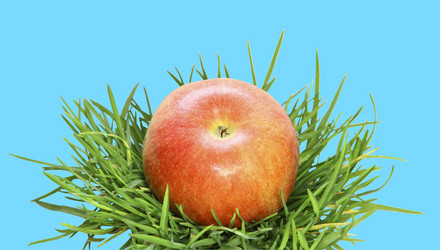 Similar image 882749