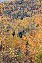 Similar image 882750