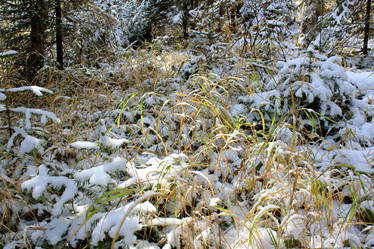 Similar image 882752