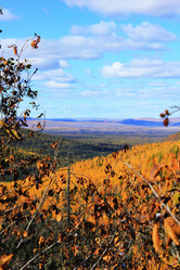 Similar image 882755