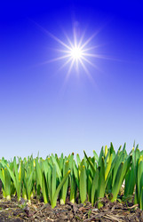 Similar image 882758