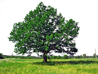 Similar image 882760