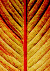 Similar image 882776