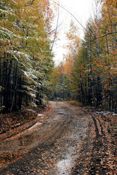 Similar image 882812