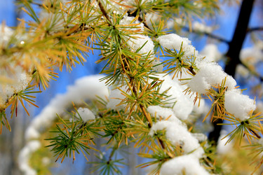 Similar image 882817