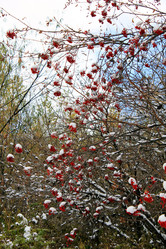 Similar image 882822