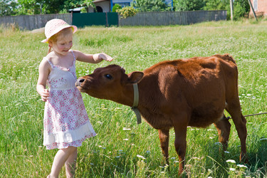 Similar image 882840