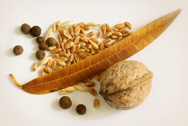 Similar image 882856