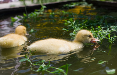 Similar image 882862