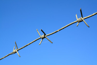 Similar image 882865