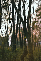 Similar image 882889