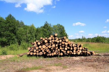 Similar image 882893