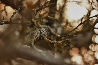 Similar image 882895