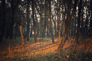 Similar image 882898