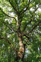 Similar image 882910