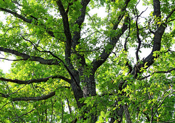 Similar image 882916