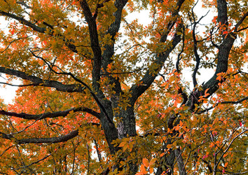 Similar image 882924