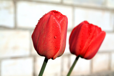 Similar image 882933