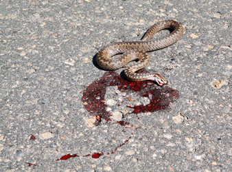 Similar image 882959