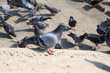 Similar image 882964