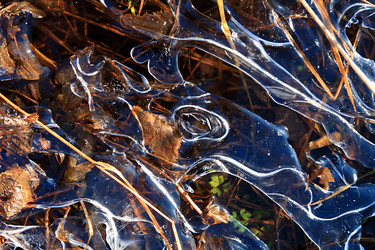 Similar image 882991