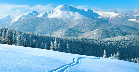 Similar image 883018