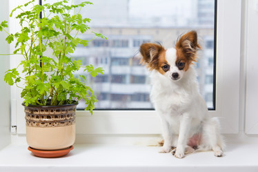 Similar image 883033