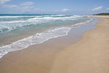 Similar image 883036