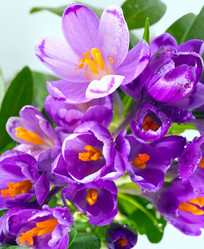 Similar image 883045