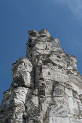 Similar image 883047