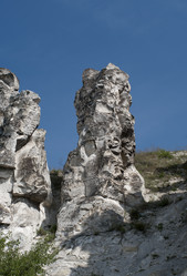 Similar image 883049