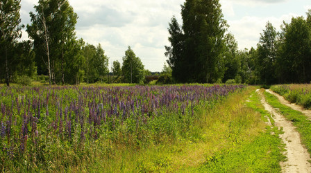 Similar image 883054