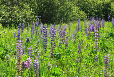 Similar image 883053