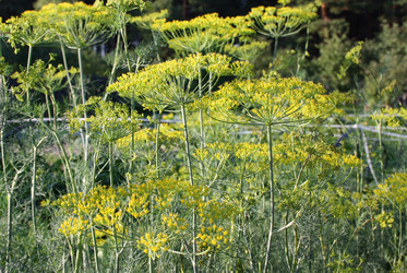 Similar image 883055