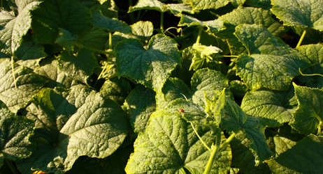 Similar image 883056