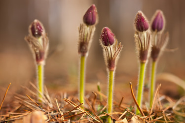 Similar image 883057