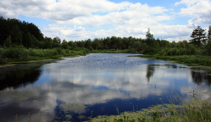 Similar image 883067