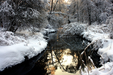 Similar image 883068