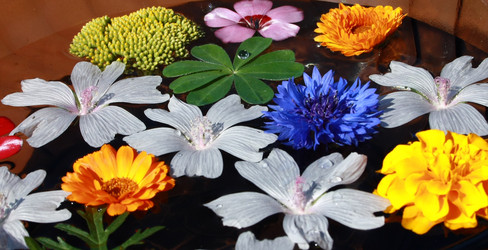 Similar image 883070