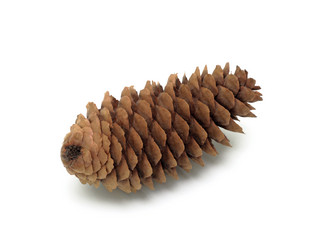 Similar image 883084