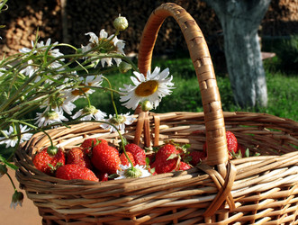 Similar image 883094