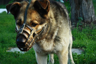 Similar image 883096