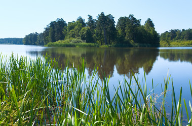 Similar image 883284