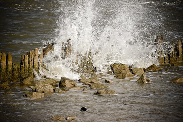 Similar image 883286