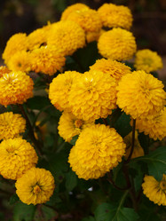 Similar image 883291