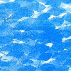 Similar image 883327